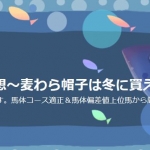 パドック競馬予想～麦わら帽子は冬に買え　 パドック推奨版