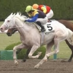 高木の地方競馬スピード指数予想