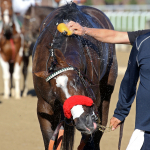 所長の中央競馬　馬券BOXトレード