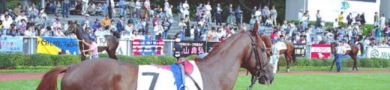 WAKUWAKU競馬道場 ２５年目の競馬予想サイト