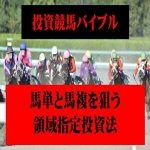 馬単と馬複を狙う領域指定投資法