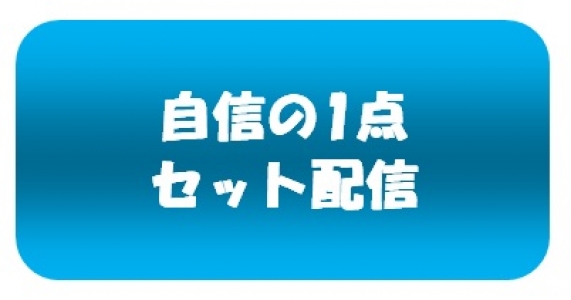 02月08日 【おまとめ_自信の1点】 全提供レース_16R分 900円(税込) 