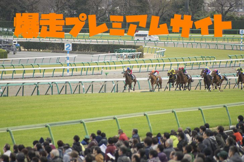 ＜最新馬券術特典付き！＞爆走プレミアムサイト【２０２４年１１月度】会員