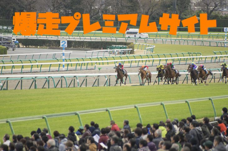 ＜最新馬券術特典付き！＞爆走プレミアムサイト【２０２４年１１月度】会員