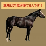 競馬は穴党が勝てるんです！