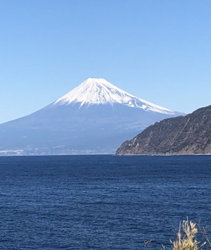 単複ワイド自信の勝負レース