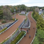 1点入魂のワイド・馬連馬券(1日何レース予想配信でも最低販売価格にて提供中)