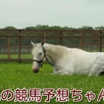 Mae氏の競馬予想