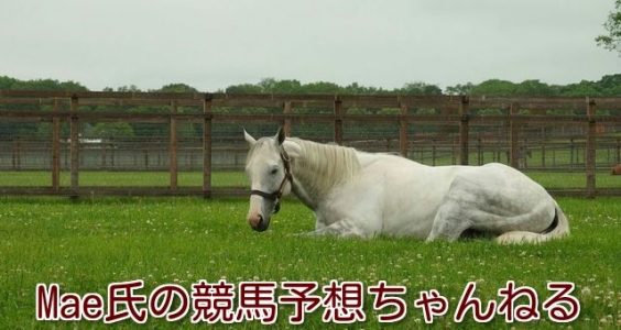 Mae氏の競馬予想