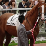 単複、ワイドの一点勝負