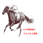 ヒデ競馬地方版