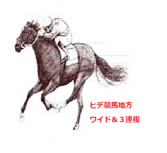 ヒデ競馬地方版