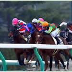 競馬で稼ぐ投資馬券：１１月もステップ馬に加え１点勝負レースが絶好調！今月も儲けましょう！！