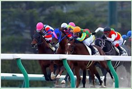 競馬で稼ぐ投資馬券：１１月もステップ馬に加え１点勝負レースが絶好調！今月も儲けましょう！！