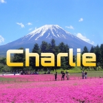 【回収率重視】Charlieの中央競馬予想