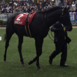 馬券研究員主任ジョージおすすめの鉄板レース