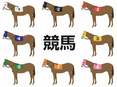 地方競馬情報　１日１レース予想