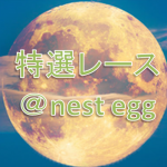 特選レース@nest egg