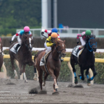 競馬の予想　全般