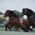 ばんえい競馬ＯＭＧ予想