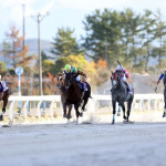 南関競馬で３連複で稼ぐ予想