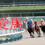 愛馬！厳選地方&中央競馬予想