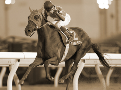 中央競馬！漢の単複勝負！厳選レース予想！