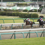 サザナミの㊙️馬券