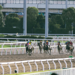 本日の１本！　南関DE馬複　