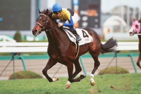 福吉の競馬予想