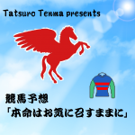 「本命はお気に召すままに」 ～中央・地方競馬編～【競馬予想】