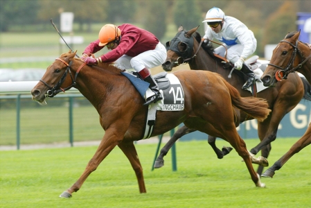 常勝投資馬券　複勝とワイドで確実ウマウマ♪　～もう派手な配当に惑わされない～