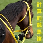 計算的競馬論〜必読、驚異の回収率〜