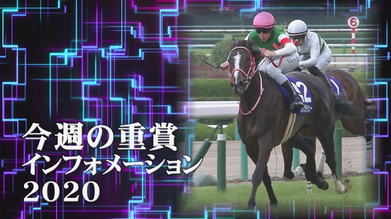 競馬を楽しみましょ！