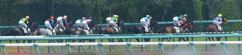 【発掘競馬】的中への近道ー穴馬発掘