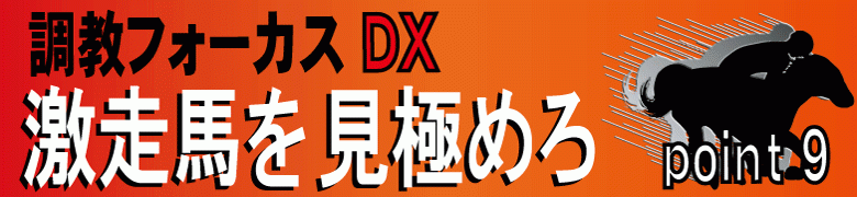 調教フォーカスDX