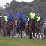 【 千騎 】～1000の馬で勝利を目指す～